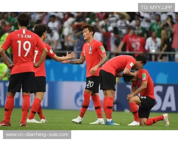 韩国世界杯历史回顾与分析：从东道主的辉煌到球队的深刻影响
